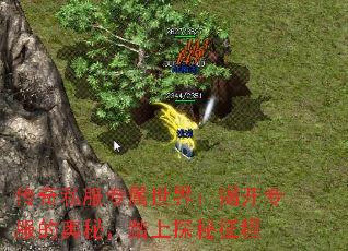 ˽ר磺ҿרİأ̤̽