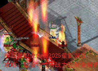 ְҵ2025ȹԣְҵսȫ