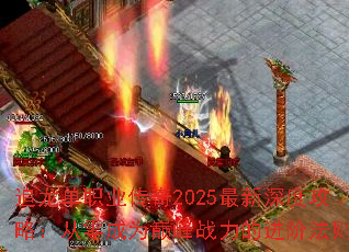 ׷ְҵ2025ȹԣΪ۷սĽ׷