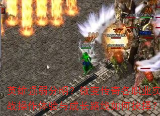 Ӣǿ΢䴫ְҵʵսɳ·ξ