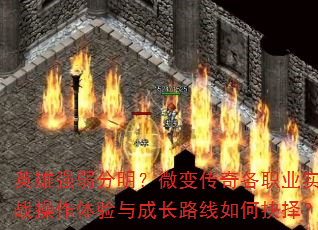 Ӣǿ΢䴫ְҵʵսɳ·ξ