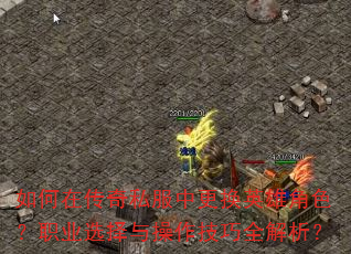 ڴ˽иӢ۽ɫְҵѡȫ