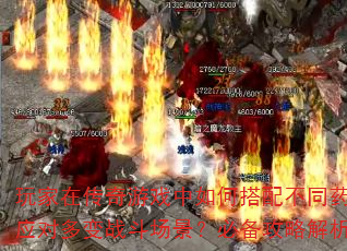 ڴϷδ䲻ͬҩˮӦԶսرԽ