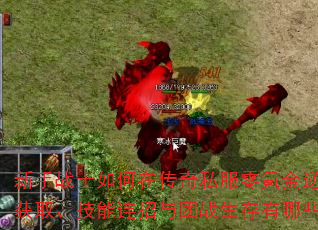 սʿڴ˽봽ϮװȡսЩϣ