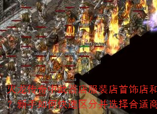 װεҩƷʲôοֲѡ̵깺װߣ