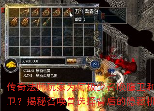 淨ʦΪμٻӥͻٻѡ񱳺ػ