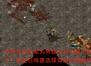 淨ʦΪμٻӥͻٻѡ񱳺ػ