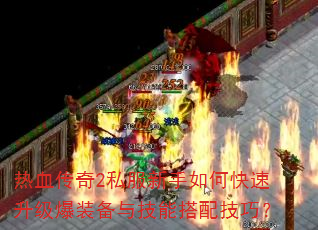 Ѫ2˽οװ뼼ܴ似ɣ