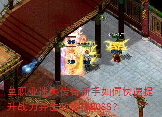 ְҵʧοսռBOSS