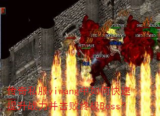 ˽yiwangοսռBoss