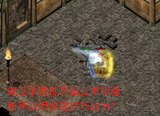 ɱ¾糬䵥ְҵοս
