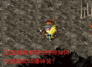 ѪˬְҵοˢBOSSװ