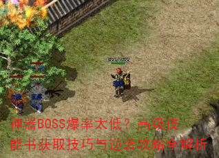 BOSS̫ͣ߼ȡϮȫ