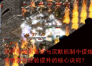 ڰڼĬϷĺľϣ