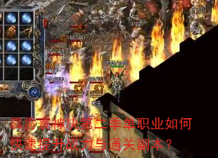 ڶְҵοսͨظ