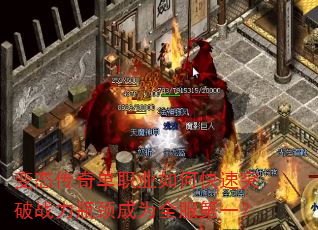 ̬浥ְҵοͻսƿΪȫһ