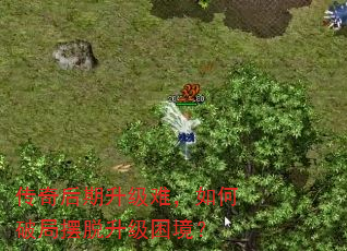 ѣƾְ