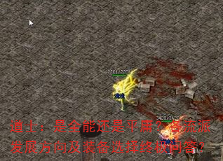 ʿȫܻƽӹɷչװѡռʴ