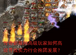·߼θЧѰʵлᱧŷչ