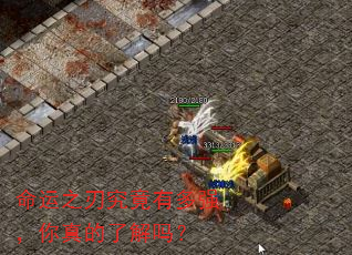 ֮ожǿ˽