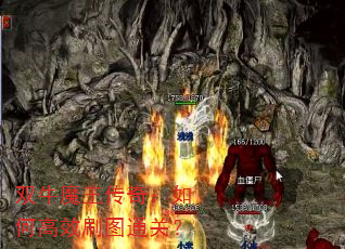 ˫ţħ棺θЧˢͼͨأ