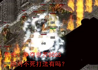 棺BOSSԲ