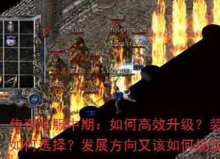 ˽ڣθЧװѡ񣿷չָι滮
