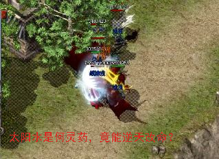 ̫ˮǺҩ