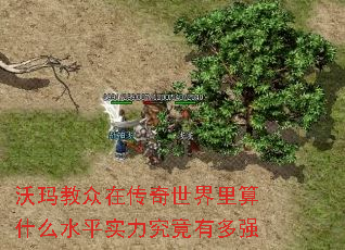 沃玛教众在传奇世界里算什么水平实力究竟有多强 沃玛教众在传奇世界里算什么水平实力究竟有多强