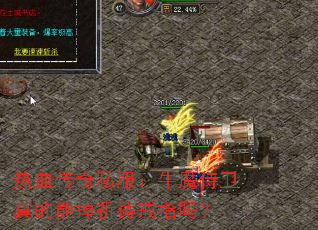 热血传奇私服:牛魔侍卫真的能掉祈祷戒指吗? 热血传奇私服:牛魔侍卫真的能掉祈祷戒指吗?