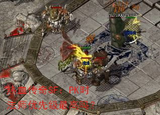 热血传奇SF:PK时法师优先级最高吗? 热血传奇SF:PK时法师优先级最高吗?