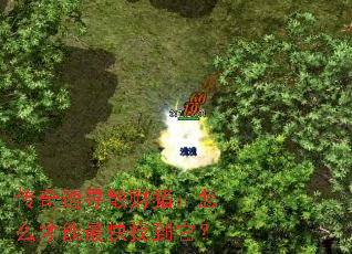 传奇速寻散财猪:怎么才能最快找到它? 传奇速寻散财猪:怎么才能最快找到它?