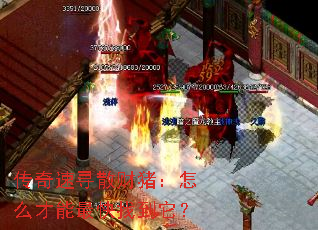 传奇速寻散财猪:怎么才能最快找到它? 传奇速寻散财猪:怎么才能最快找到它?