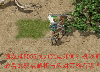 触龙神BOSS战力究竟如何?挑战前必看的弱点解析与应对策略有哪些? 触龙神BOSS战力究竟如何?挑战前必看的弱点解析与应对策略有哪些?