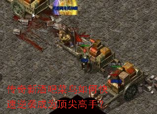 传奇新酒吧菜鸟如何快速逆袭成为顶尖高手? 传奇新酒吧菜鸟如何快速逆袭成为顶尖高手?