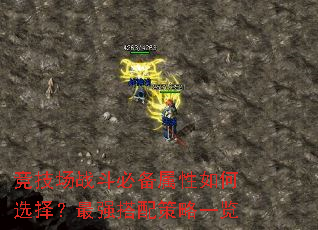 竞技场战斗必备属性如何选择?最强搭配策略一览 竞技场战斗必备属性如何选择?最强搭配策略一览