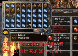 如何搭配不同职业英雄以最大化法师玩家的战斗收益? 如何搭配不同职业英雄以最大化法师玩家的战斗收益?