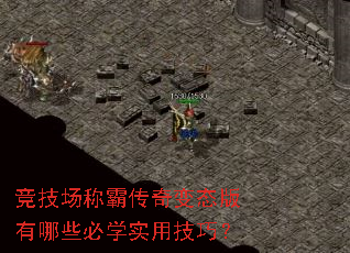 竞技场称霸传奇变态版有哪些必学实用技巧? 竞技场称霸传奇变态版有哪些必学实用技巧?