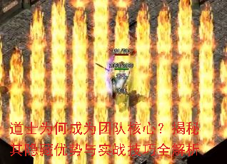 道士为何成为团队核心?揭秘其隐藏优势与实战技巧全解析 道士为何成为团队核心?揭秘其隐藏优势与实战技巧全解析