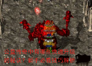 公益传奇中有哪些快速升级的秘诀?新手必看技巧解析 公益传奇中有哪些快速升级的秘诀?新手必看技巧解析