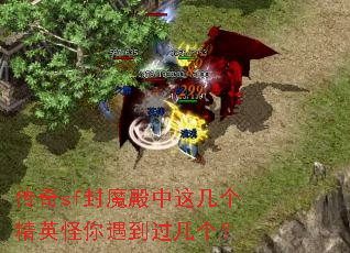 传奇sf封魔殿中这几个精英怪你遇到过几个? 传奇sf封魔殿中这几个精英怪你遇到过几个?