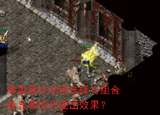 暴击属性如何选择与组合能显著提升输出<a href=