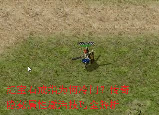 红宝石戒指为何冷门?传奇隐藏属性激活技巧全解析 红宝石戒指为何冷门?传奇隐藏属性激活技巧全解析