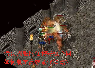 传奇找服网怪物等级不同如何制定高效刷怪策略? 传奇找服网怪物等级不同如何制定高效刷怪策略?