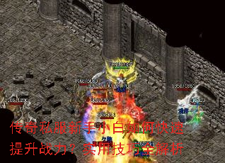 传奇私服新手小白如何快速提升战力?实用技巧全解析 传奇私服新手小白如何快速提升战力?实用技巧全解析