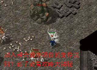 加入帮会后才明白的生存法则?新手必看攻略大揭秘 加入帮会后才明白的生存法则?新手必看攻略大揭秘