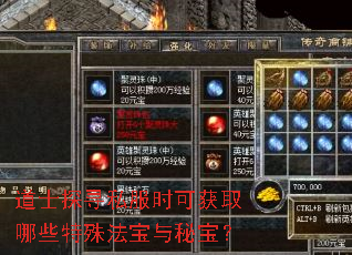 道士探寻私服时可获取哪些特殊法宝与秘宝? 道士探寻私服时可获取哪些特殊法宝与秘宝?