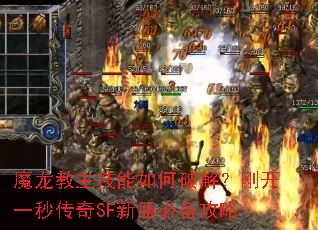 ħƽ⣿տһ봫SF·ر