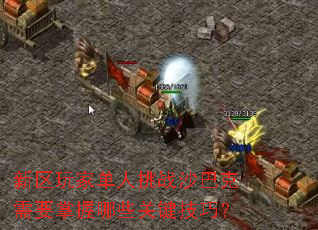 新区玩家单人挑战沙巴克需要掌握哪些关键<a href=