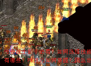 传奇战士新手必看?如何选择技能?属性加点怎么分配?装备获取途径有哪些?PK技巧如何掌握?团队定位是什么?快速升级方法是什么? 传奇战士新手必看?如何选择技能?属性加点怎么分配?装备获取途径有哪些?PK技巧如何掌握?团队定位是什么?快速升级方法是什么?